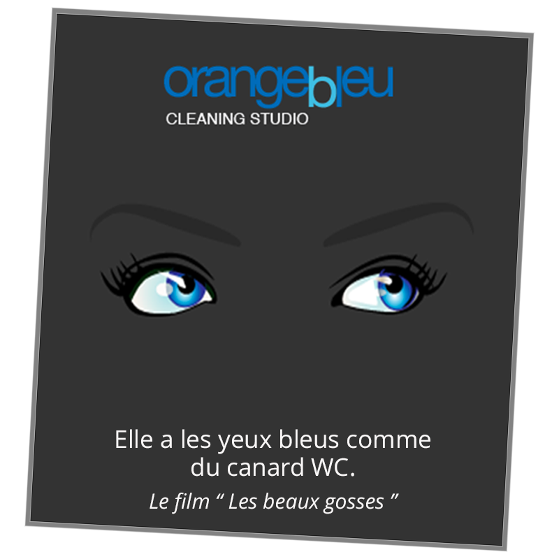 orangebleu investigation